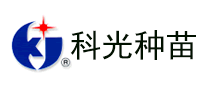 科光怎么樣
