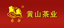 云谷怎么樣
