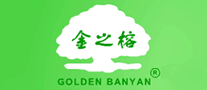 司珈爾怎么樣