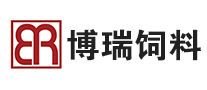 博瑞怎么樣