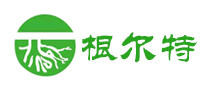 根爾特怎么樣