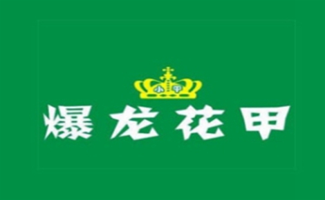 爆龍花甲怎么樣
