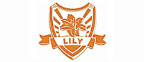 六安商城網(wǎng)怎么樣