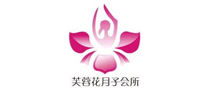 芙蓉花怎么樣