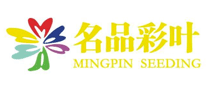名品彩葉怎么樣