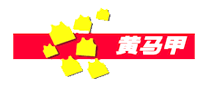 龐苗怎么樣