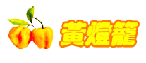 黃燈籠怎么樣