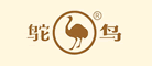 鴕鳥(niǎo)怎么樣