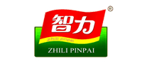 智力怎么樣