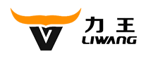 力王LiWang怎么樣
