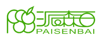 派森百怎么樣